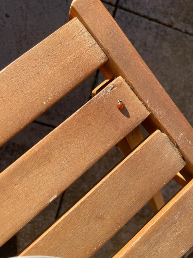 Duplex 6 Plazas Para Desconectar De La Rutina Oliana 외부 사진